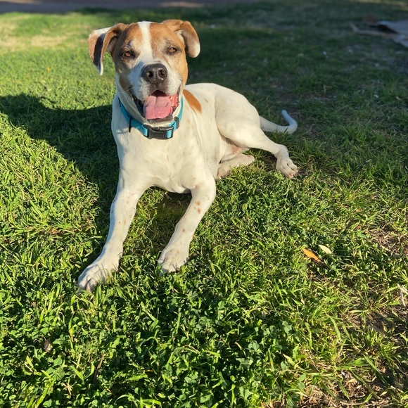 Future Mrs.Couture - Picture 3 of 16